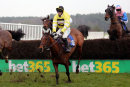 Race 5 - Ange Des Malberaux (3)