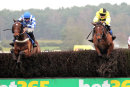 Race 5 - Ange Des Malberaux (5)