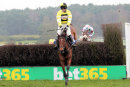 Race 5 - Ange Des Malberaux (7)