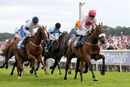 Race 5 - Arcadian Sunrise (3)