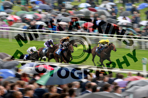 Race 5 - Attagirl (3)