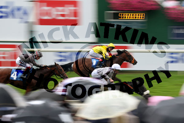 Race 5 - Attagirl (5)
