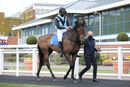 Race 5 - Aura Blue (2)