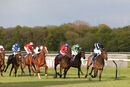 Race 5 - Aura Blue (5)