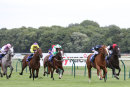 Race 5 - Autumn War (2)