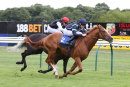 Race 5 - Autumn War (5)