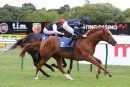 Race 5 - Autumn War (6)