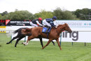 Race 5 - Autumn War (7)