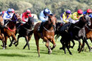 Race 5 - Ava Go Joe (11)