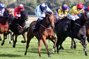 Race 5 - Ava Go Joe (12)