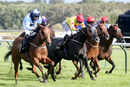 Race 5 - Ava Go Joe (14)