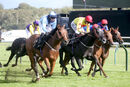 Race 5 - Ava Go Joe (16)
