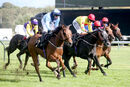 Race 5 - Ava Go Joe (17)