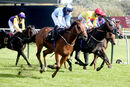 Race 5 - Ava Go Joe (19)
