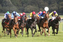 Race 5 - Ava Go Joe (4)