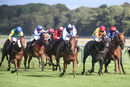 Race 5 - Ava Go Joe (6)