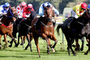 Race 5 - Ava Go Joe (9)