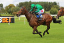 Race 5 - Ballybolley (6)