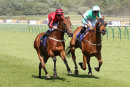 Race 5 - Barrington (5)