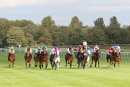Race 5 - Belated Breath (3)