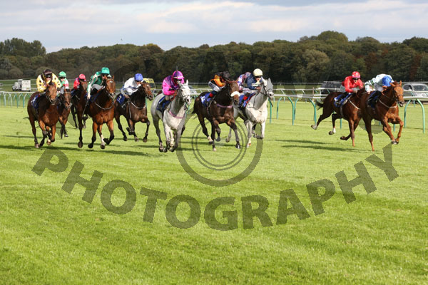 Race 5 - Belated Breath (4)