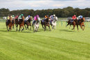 Race 5 - Belated Breath (4)