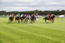 Race 5 - Belated Breath (5)