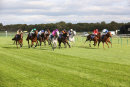 Race 5 - Belated Breath (6)