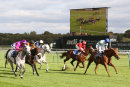 Race 5 - Belated Breath (8)