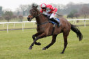 Race 5 - Bigpipenotobacee (9)
