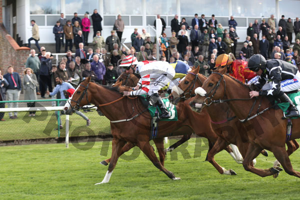 Race 5 - Black Isle Boy (6)