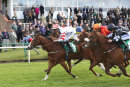 Race 5 - Black Isle Boy (6)