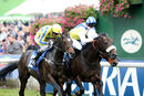 Race 5 - Blenheim Boy (6)