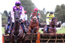 Race 5 - Blue Comet (4)