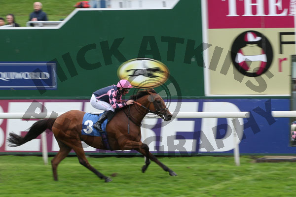 Race 5 - Blue Hussar (8)