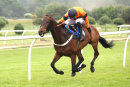 Race 5 - Bodega (10)
