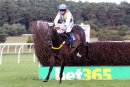 Race 5 - Boss Des Mottes (4)
