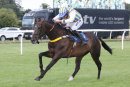 Race 5 - Boss Des Mottes (6)