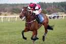 Race 5 - Brave Spartacus (10)