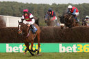Race 5 - Brave Spartacus (4)