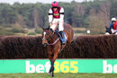 Race 5 - Brave Spartacus (6)
