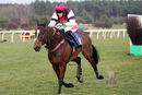 Race 5 - Brave Spartacus (9)