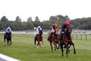 Race 5 - Brentford Hope (6)