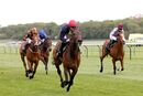 Race 5 - Brentford Hope (8)