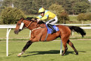 Race 5 - Caius Marcius (10)