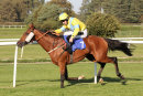 Race 5 - Caius Marcius (11)