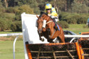 Race 5 - Caius Marcius (4)