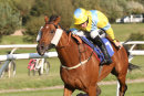 Race 5 - Caius Marcius (6)