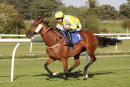 Race 5 - Caius Marcius (9)