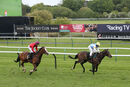 Race 5 - Call My Bluff (9)
